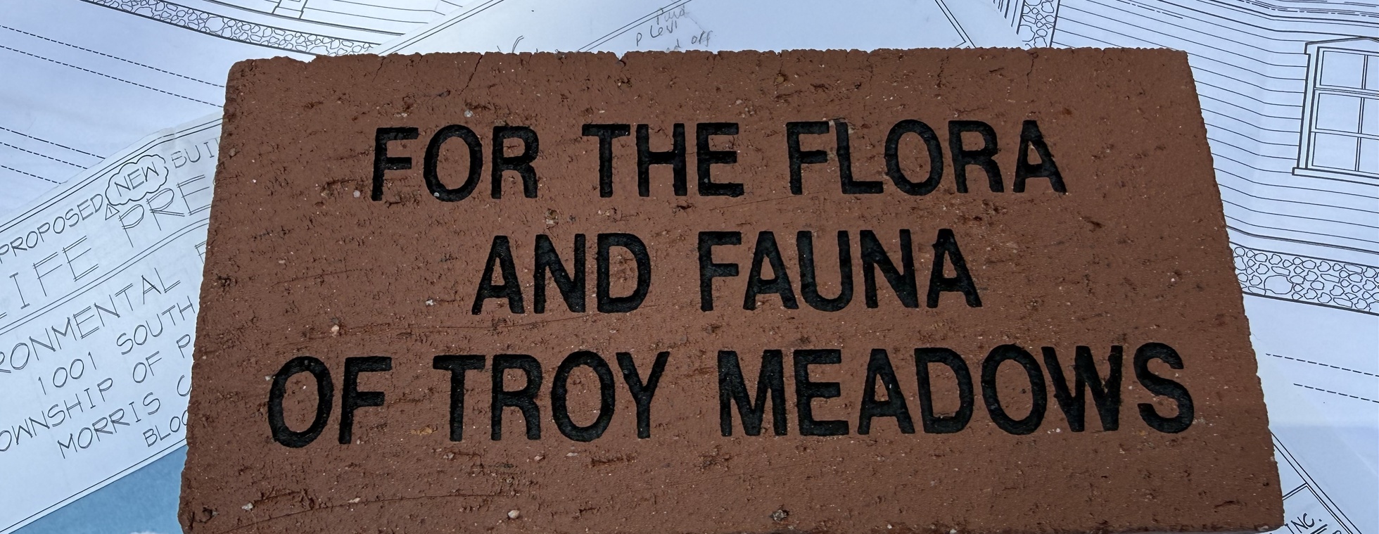 Wildlife Preserves EEC Custom Brick Campaign